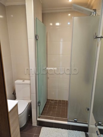 bd-roudani-vente-dun-appartement-refait-a-neuf-de-395m2-big-15