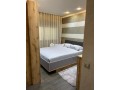 apparemment-meuble-a-louer-small-4
