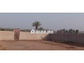 terrain-villa-16km-marrakech-bon-afir-small-2