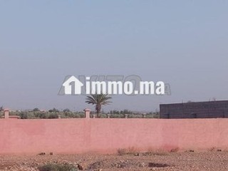 Terrain Villa 16km Marrakech bon afir - Terrain à vendre - Marrakech