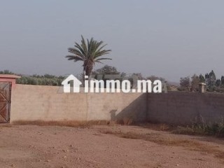 Terrain Villa 16km Marrakech bon afir - Terrain à vendre - Marrakech