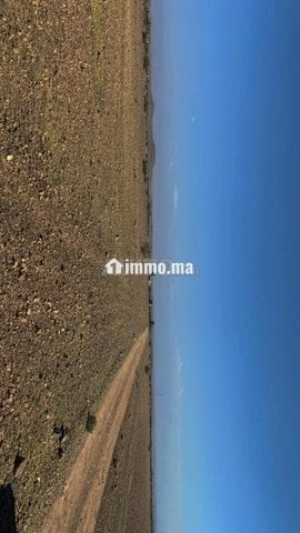 Terrain 14km Stade Marrakech 1km piste - Vente Immobilier - Marrakech - photo 1