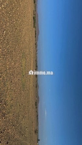 Terrain 14km Stade Marrakech 1km piste - Vente Immobilier - Marrakech - photo 3