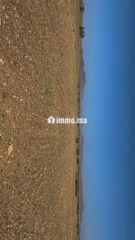 Terrain 14km Stade Marrakech 1km piste - Vente Immobilier - Marrakech - photo 4
