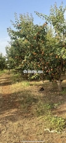 ferme-5-hektar-avendre-big-1