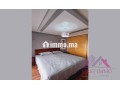 lumineux-appartement-meuble-sur-lotinord-a-louer-small-3