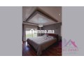 lumineux-appartement-meuble-sur-lotinord-a-louer-small-4