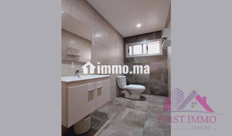 lumineux-appartement-meuble-sur-lotinord-a-louer-big-9