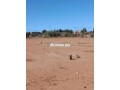 ard-llbyaa-zon-fylat-mhfd-small-3