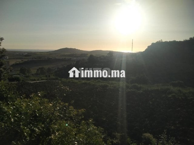 أرض للبيع عدلية طريق اشفار - Vente Immobilier - Tanger - photo 1