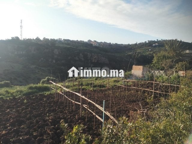 أرض للبيع عدلية طريق اشفار - Vente Immobilier - Tanger - photo 3