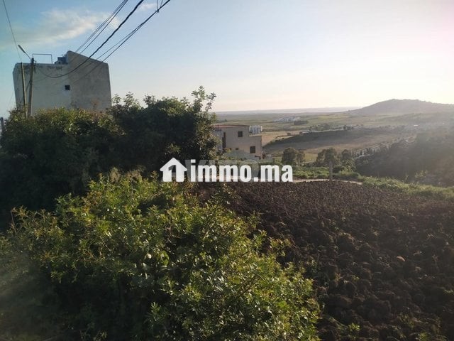 أرض للبيع عدلية طريق اشفار - Vente Immobilier - Tanger - photo 4