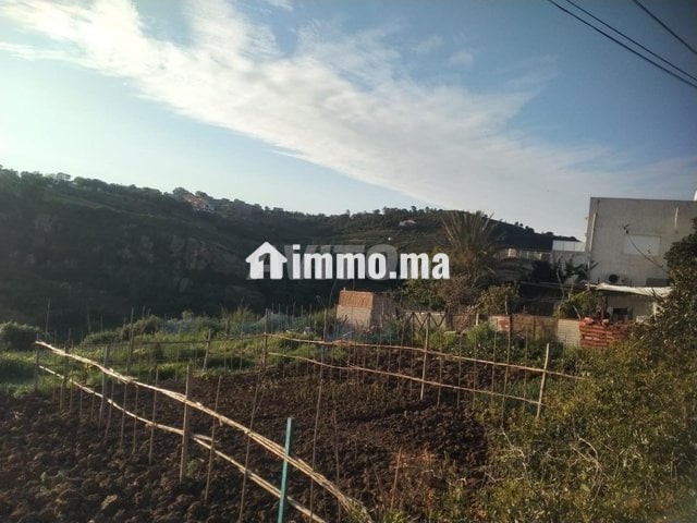 أرض للبيع عدلية طريق اشفار - Vente Immobilier - Tanger - photo 5