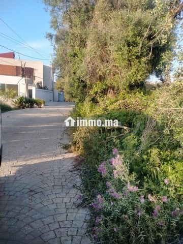 أرض للبيع عدلية طريق اشفار - Vente Immobilier - Tanger - photo 6