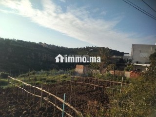 أرض للبيع عدلية طريق اشفار - Terrain à vendre - Tanger