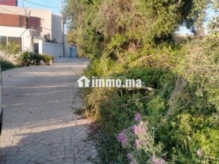 أرض للبيع عدلية طريق اشفار - Terrain à vendre - Tanger