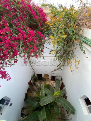 vente-riad-renove-titre-a-sidi-ben-sliman-big-8