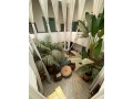 vente-riad-avec-9-chambres-a-mouassine-small-3