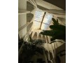 vente-riad-avec-9-chambres-a-mouassine-small-5