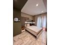 studio-meublee-a-louer-a-cfc-small-3