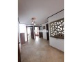 appartement-100m-meuble-a-gauthier-small-5