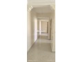 appartement-a-louer-a-andalos-small-0