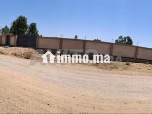 terrain-a-vendre-4209-m2-a-asilah