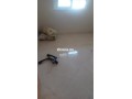 appartement-vide-en-location-small-2