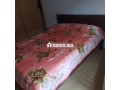 asyla-sharaa-tng-small-3