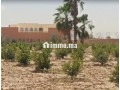 riad-a-vendre-region-taroudant-small-4