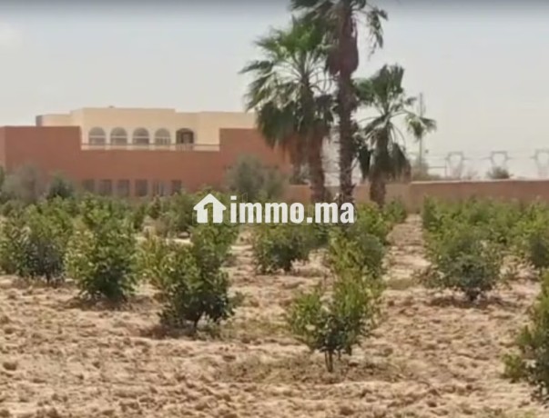 riad-a-vendre-region-taroudant-big-4