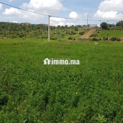 أرض محفظة للبيع - Vente Immobilier - Tetouan - photo 1