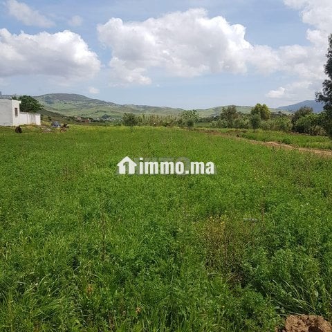 أرض محفظة للبيع - Vente Immobilier - Tetouan - photo 2