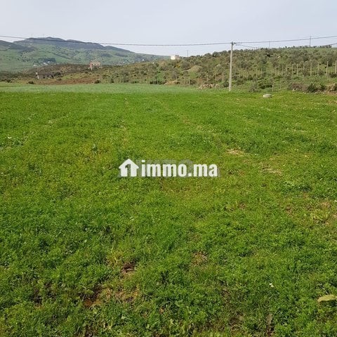 أرض محفظة للبيع - Vente Immobilier - Tetouan - photo 3