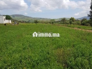 أرض محفظة للبيع - Terrain à vendre - Tetouan