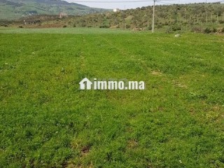 أرض محفظة للبيع - Terrain à vendre - Tetouan