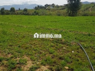 أرض محفظة للبيع - Terrain à vendre - Tetouan