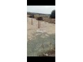 villa-titre-terrain-small-5