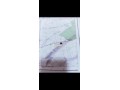 villa-titre-terrain-small-6