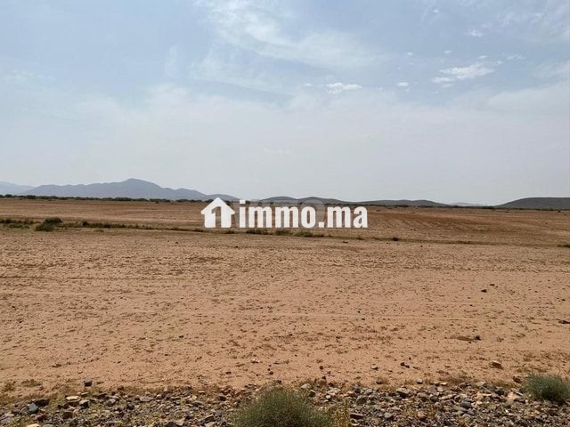 أرض للبيع تيتر المساحة 8هكتار ثمن 1900000 - Vente Immobilier - Marrakech - photo 2