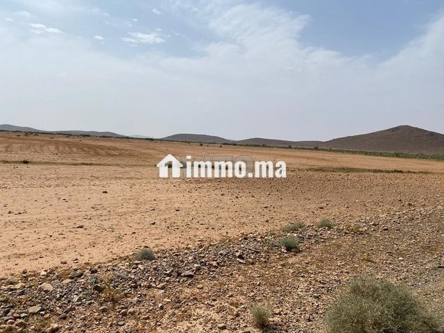أرض للبيع تيتر المساحة 8هكتار ثمن 1900000 - Vente Immobilier - Marrakech - photo 3