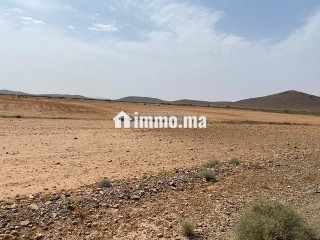 أرض للبيع تيتر المساحة 8هكتار ثمن 1900000 - Terrain à vendre - Marrakech