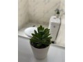 appartement-a-louer-a-la-journee-au-centre-ville-small-9