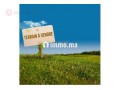 terrain-villa-320m2-laimoune-casablanca-small-0