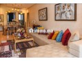 appartement-magnifique-du-luxe-small-2