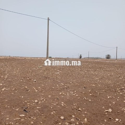 Hectar //wald salem - Vente Immobilier - El Jadida - photo 1