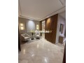 joli-appartement-2-chambres-meuble-moderne-small-3