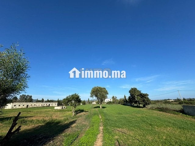 قطعة أرضية محفظة للبيع بالملاليين تطوان - Vente Immobilier - Tetouan - photo 1