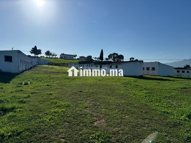 قطعة أرضية محفظة للبيع بالملاليين تطوان - Vente Immobilier - Tetouan - photo 5