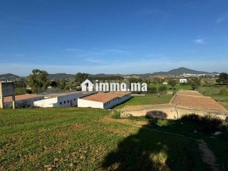 قطعة أرضية محفظة للبيع بالملاليين تطوان - Terrain à vendre - Tetouan